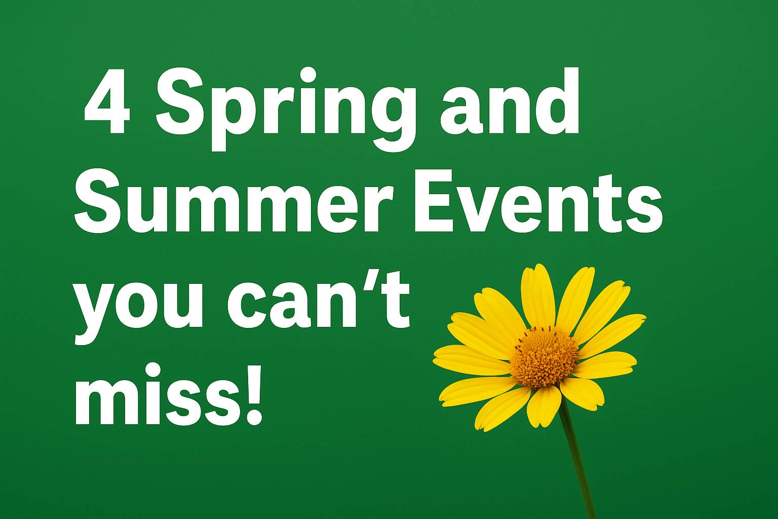 4 Spring and Summer Events you cant miss
